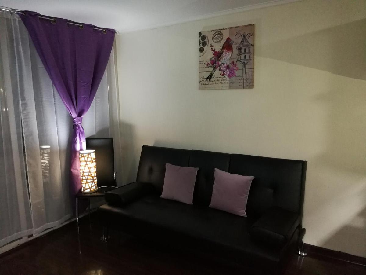 Apartament Departamento Con Terraza R&M Santiago de Chile Zewnętrze zdjęcie