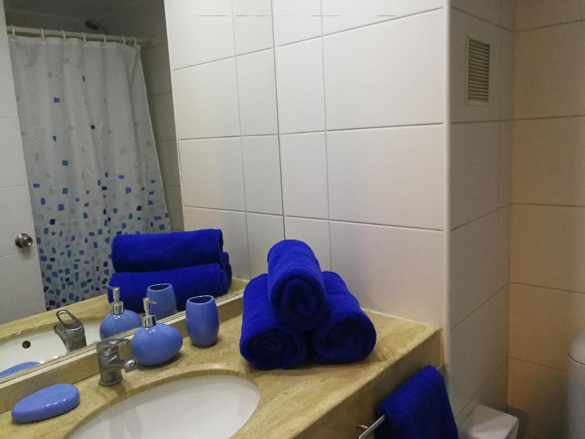 Apartament Departamento Con Terraza R&M Santiago de Chile Zewnętrze zdjęcie