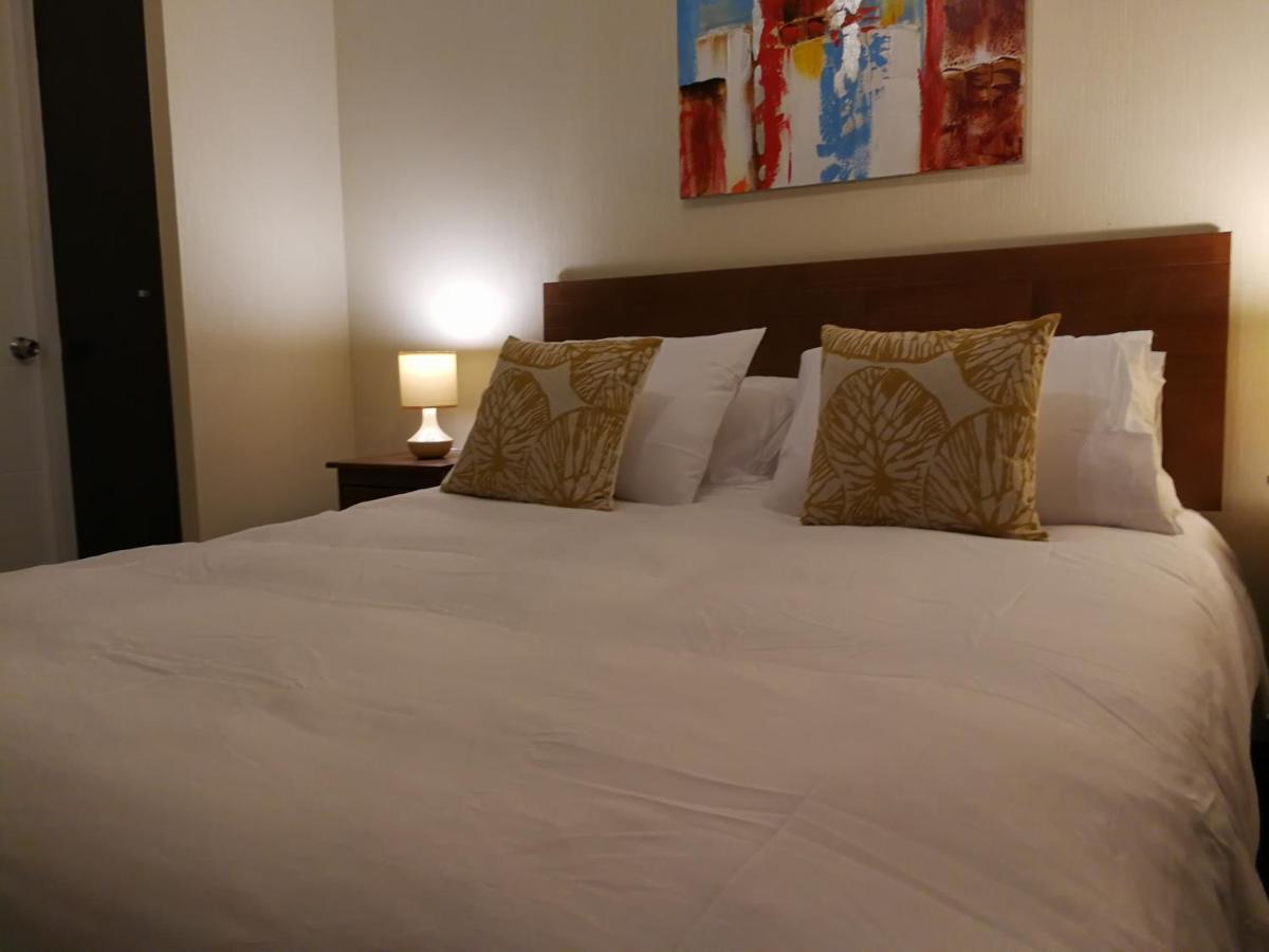 Apartament Departamento Con Terraza R&M Santiago de Chile Zewnętrze zdjęcie