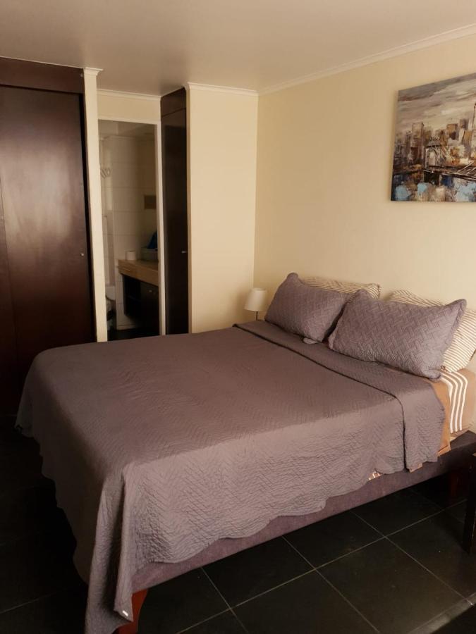 Apartament Departamento Con Terraza R&M Santiago de Chile Zewnętrze zdjęcie
