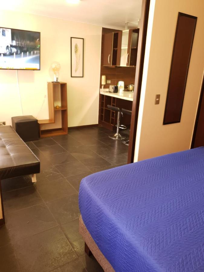 Apartament Departamento Con Terraza R&M Santiago de Chile Zewnętrze zdjęcie